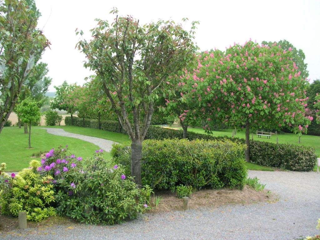 Hotel Le Bretagne Louvigne-de-Bais Екстер'єр фото